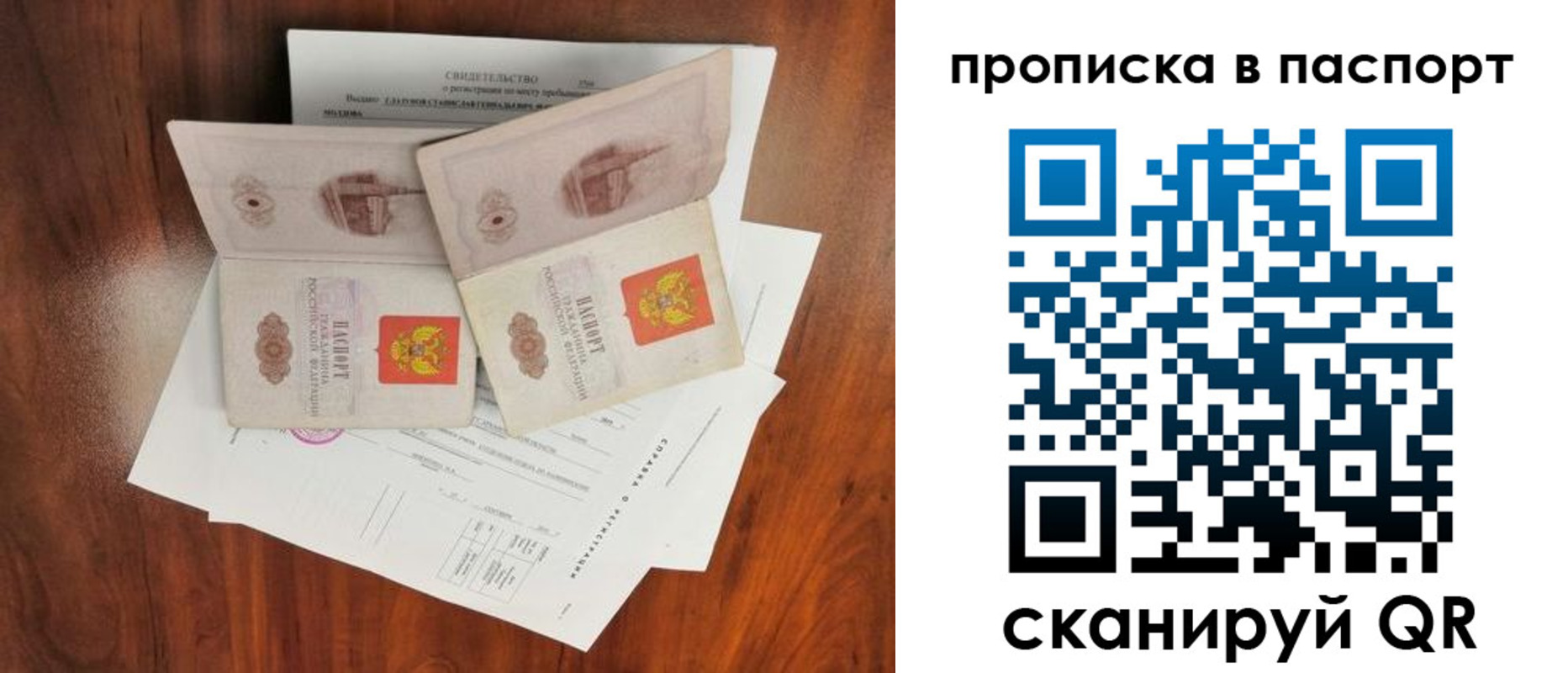 прописка поиск в Долгопрудном